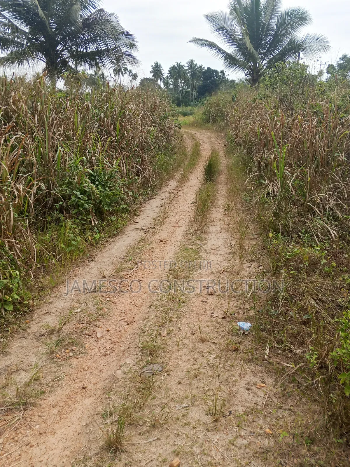 Farmland for Sale in Agona West Municipal