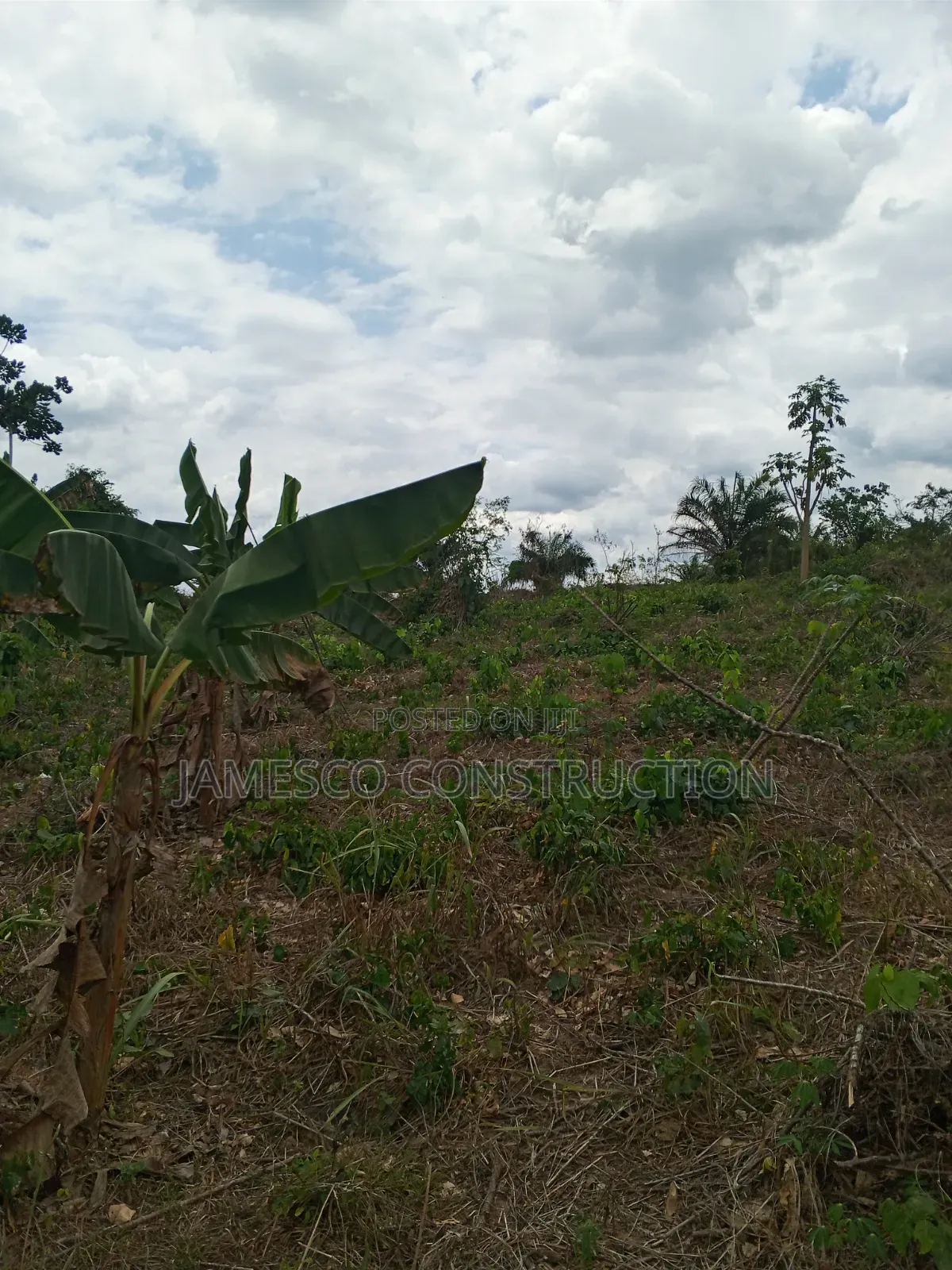 Farmland for Sale in Agona West Municipal