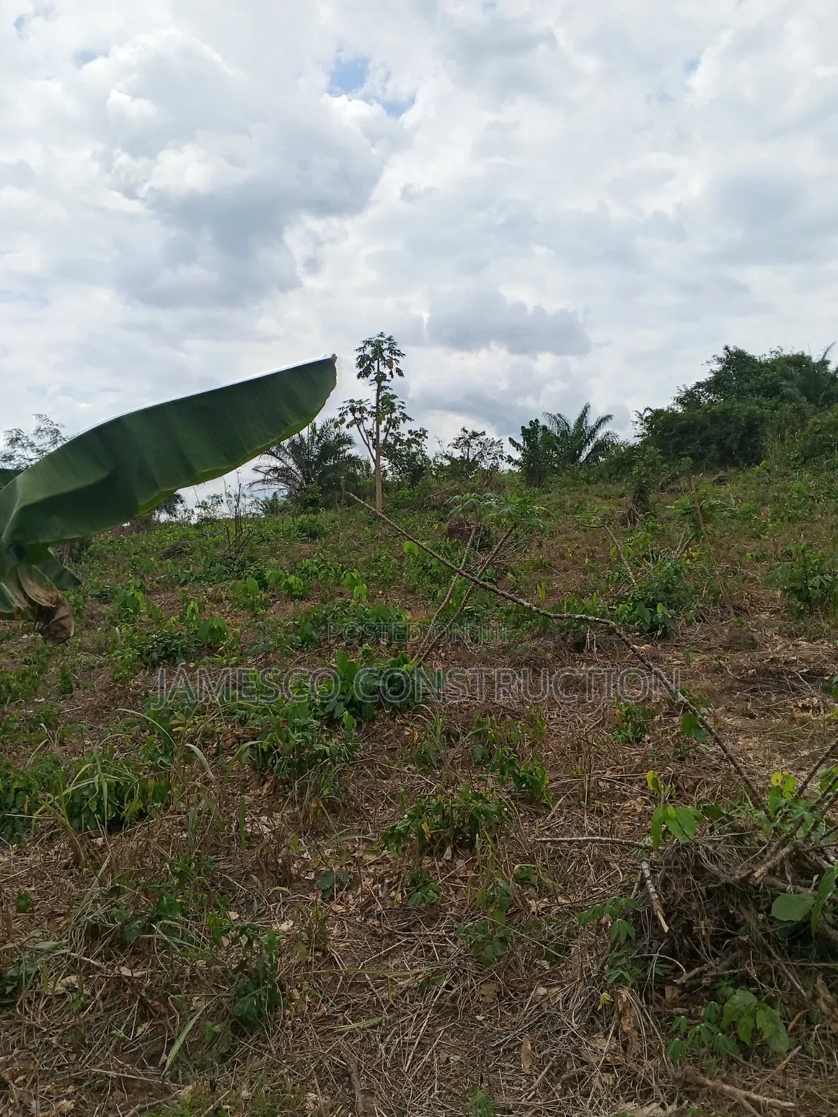 Farmland for Sale in Agona West Municipal