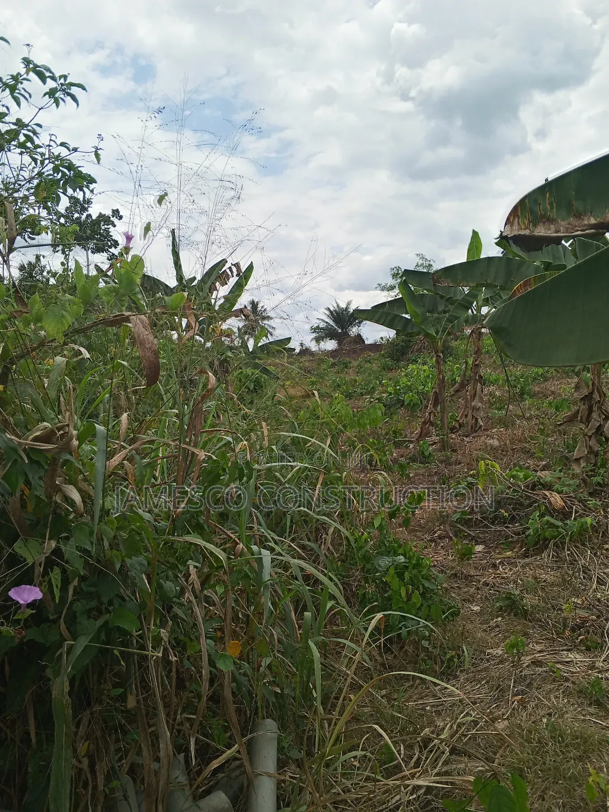Farmland for Sale in Agona West Municipal