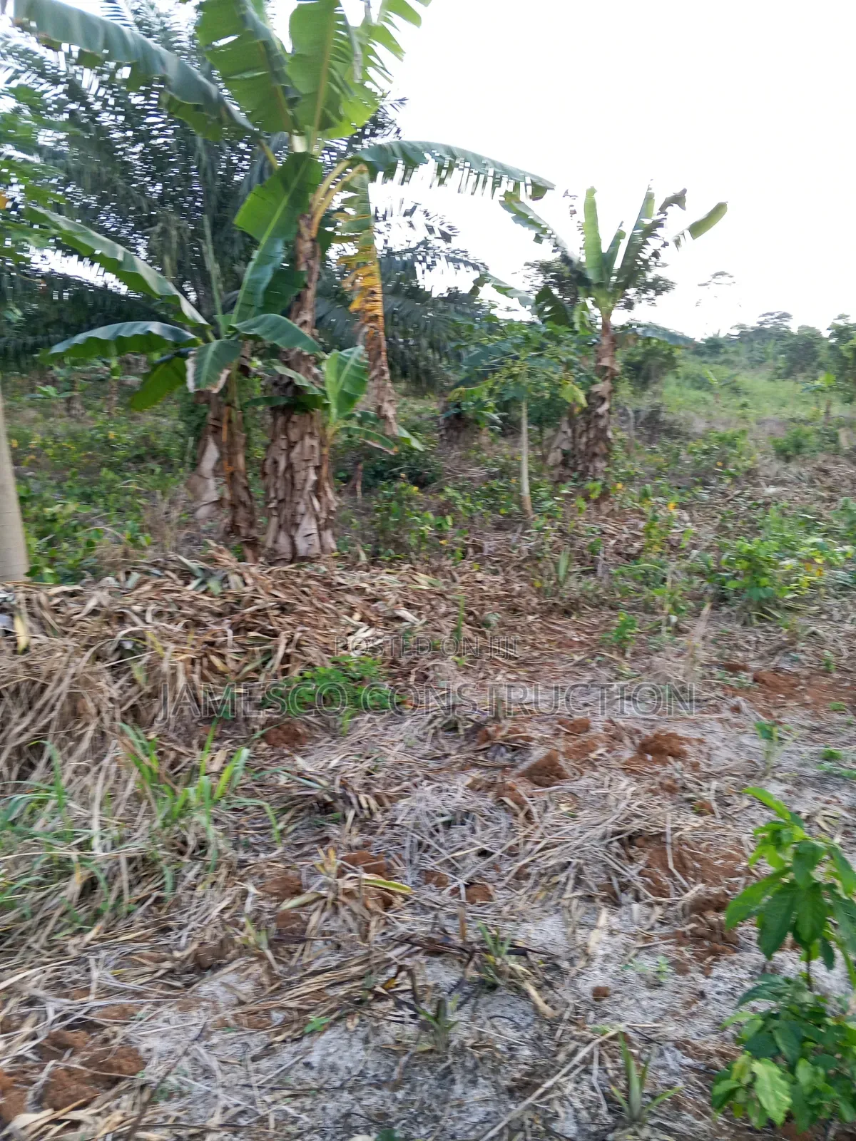 Farmland for Sale in Agona West Municipal