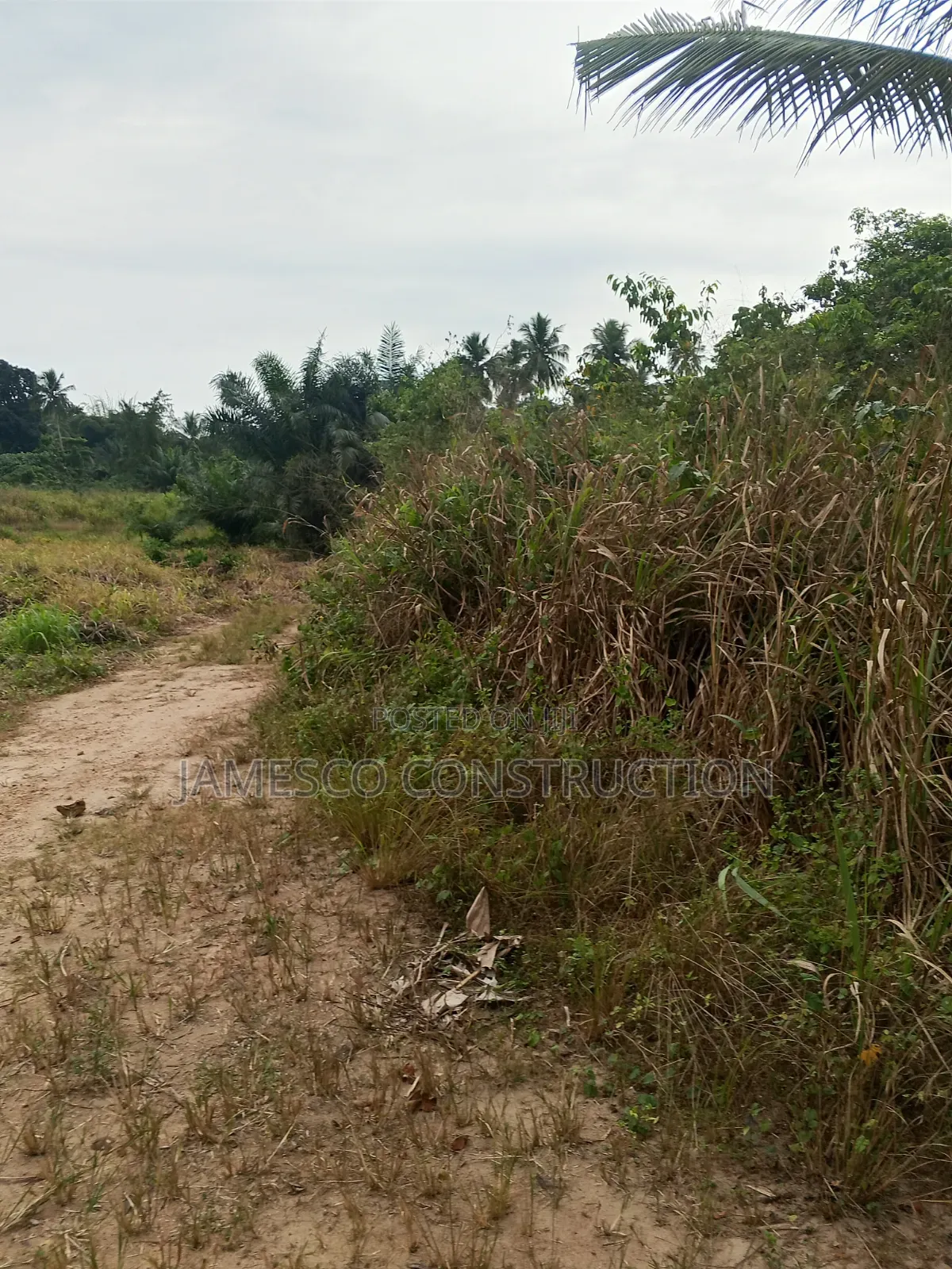 Farmland for Sale in Agona West Municipal