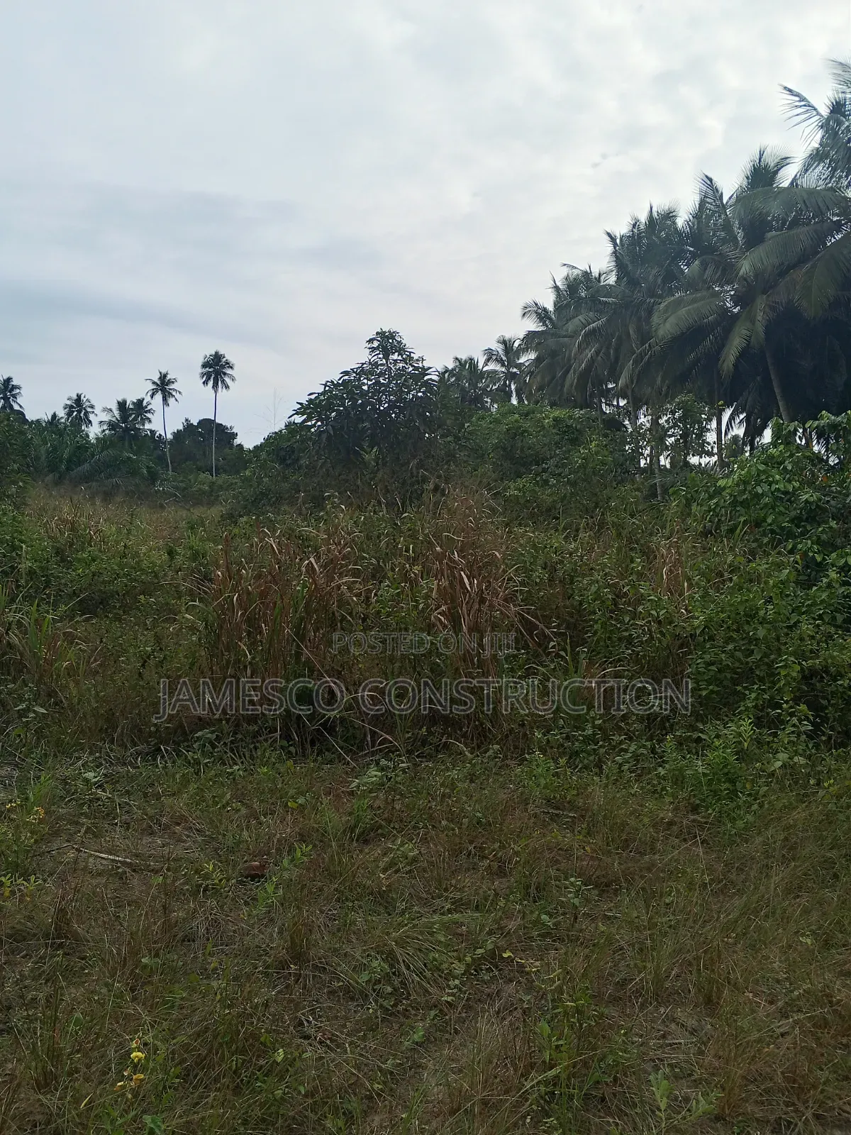 Farmland for Sale in Agona West Municipal