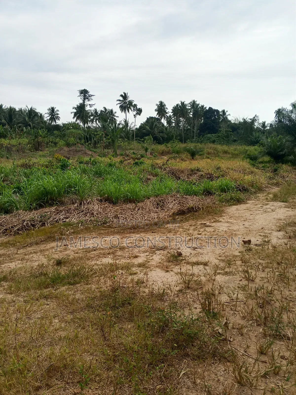 Farmland for Sale in Agona West Municipal