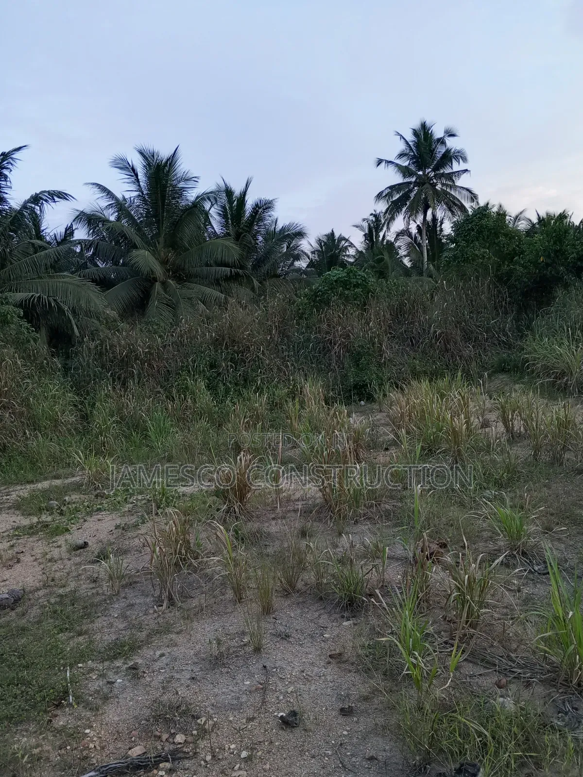 Register Farmland for Sale in Agona West Municipal