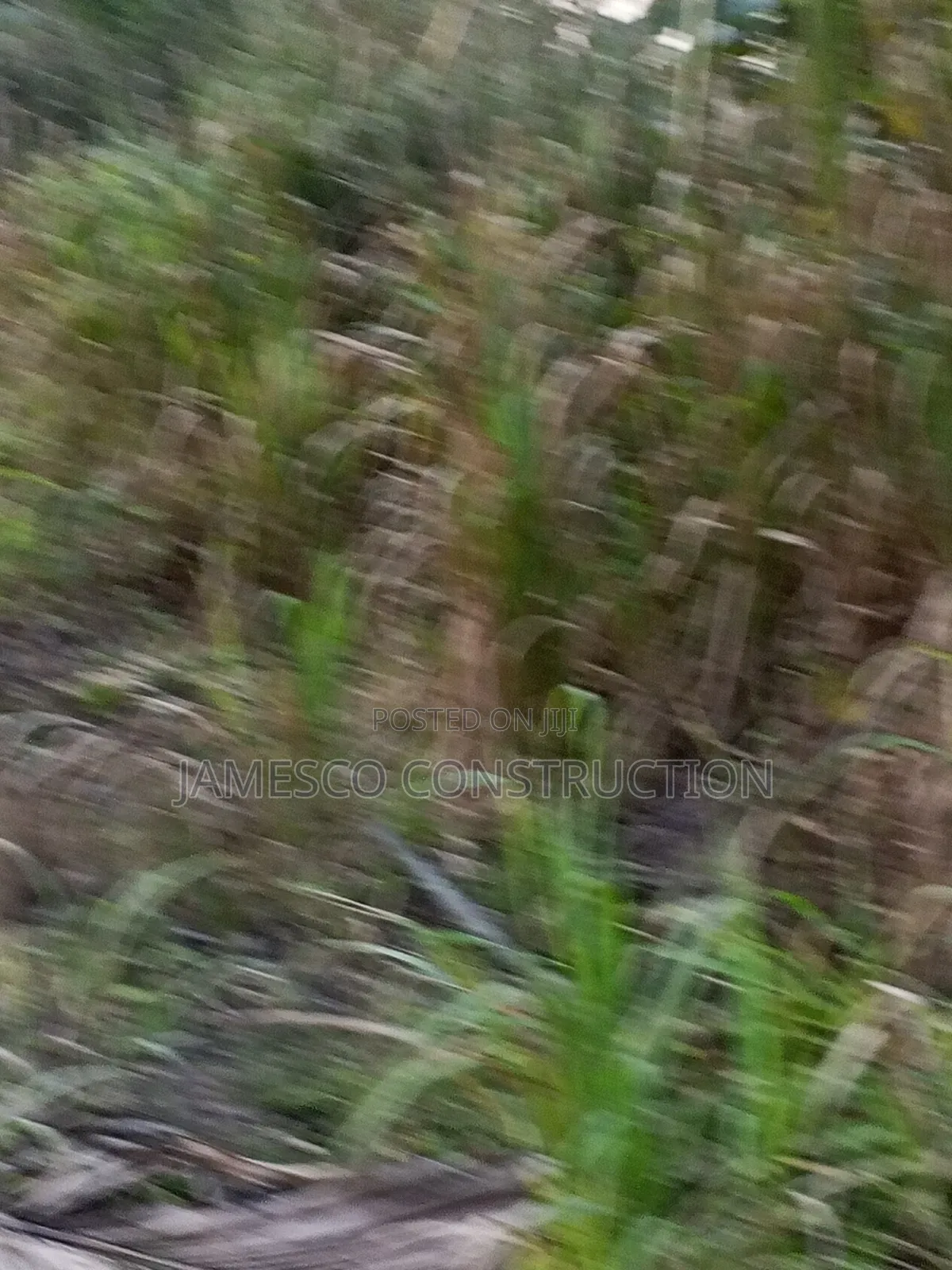 Register Farmland for Sale in Agona West Municipal