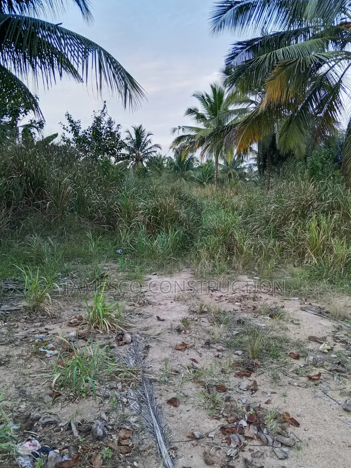 Register Farmland for Sale in Agona West Municipal