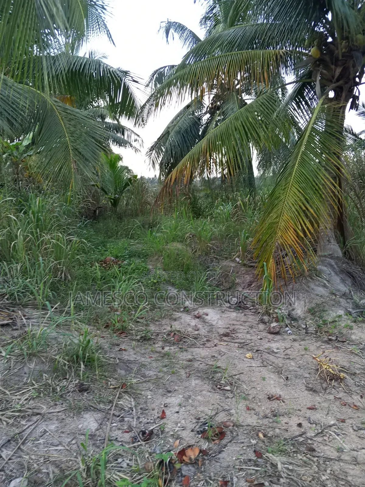 Register Farmland for Sale in Agona West Municipal