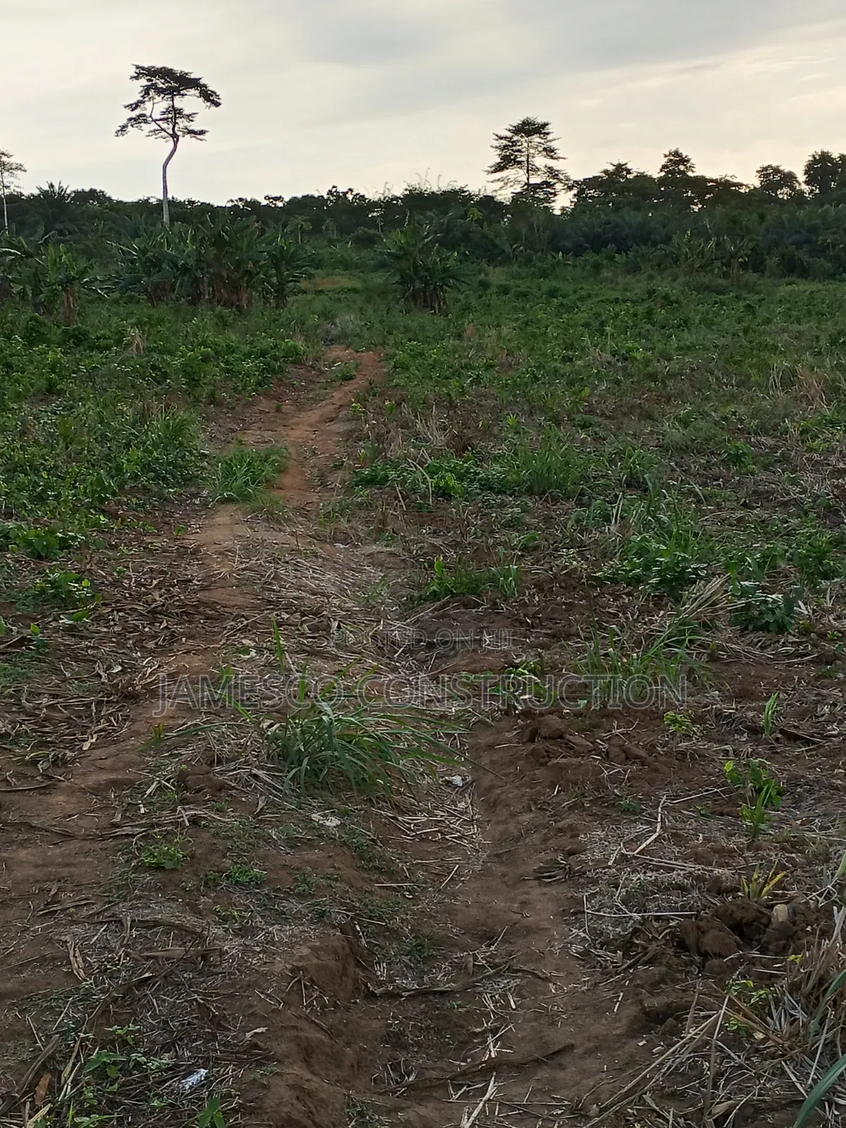 Farmland for Sale in Agona West Municipal