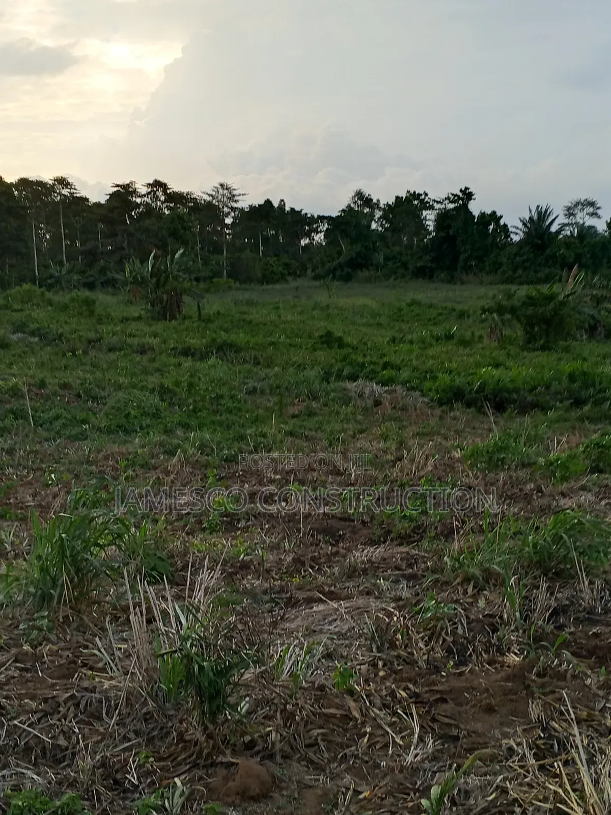 Farmland for Sale in Agona West Municipal