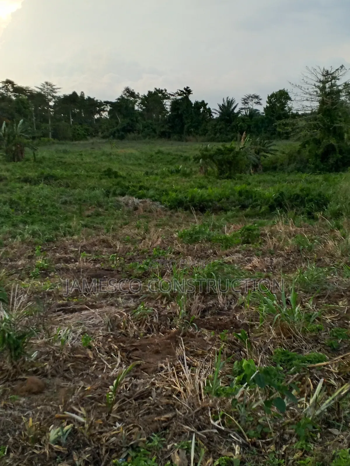 Farmland for Sale in Agona West Municipal