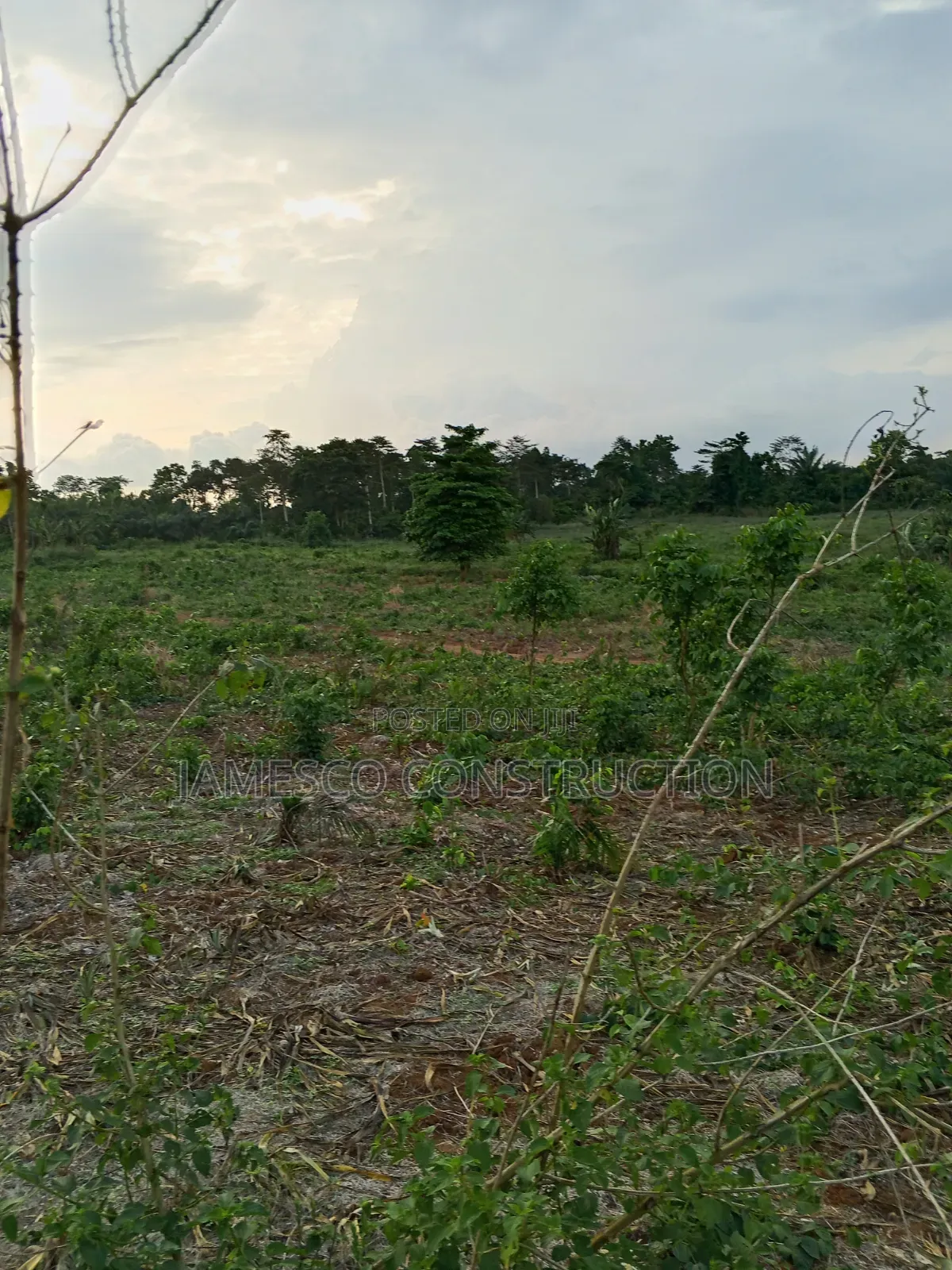 Farmland for Sale in Agona West Municipal