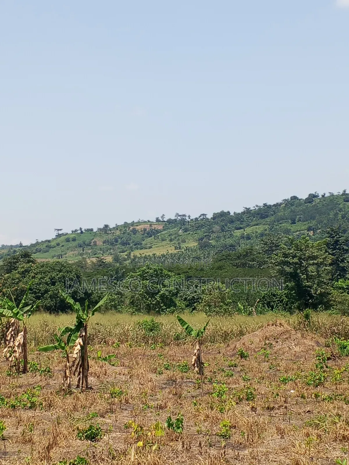 Farmland for Sale in Krachi Bontibor in Krachi East