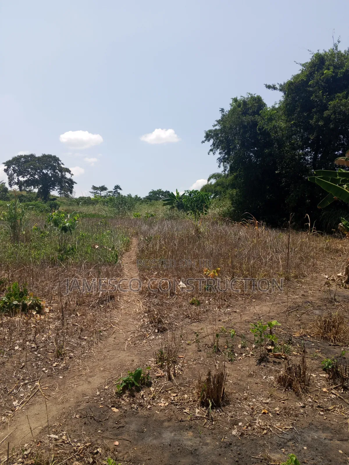 Farmland for Sale in Krachi Bontibor in Krachi East
