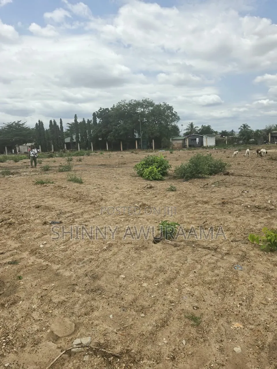 Ttitled Land Document in Barrier