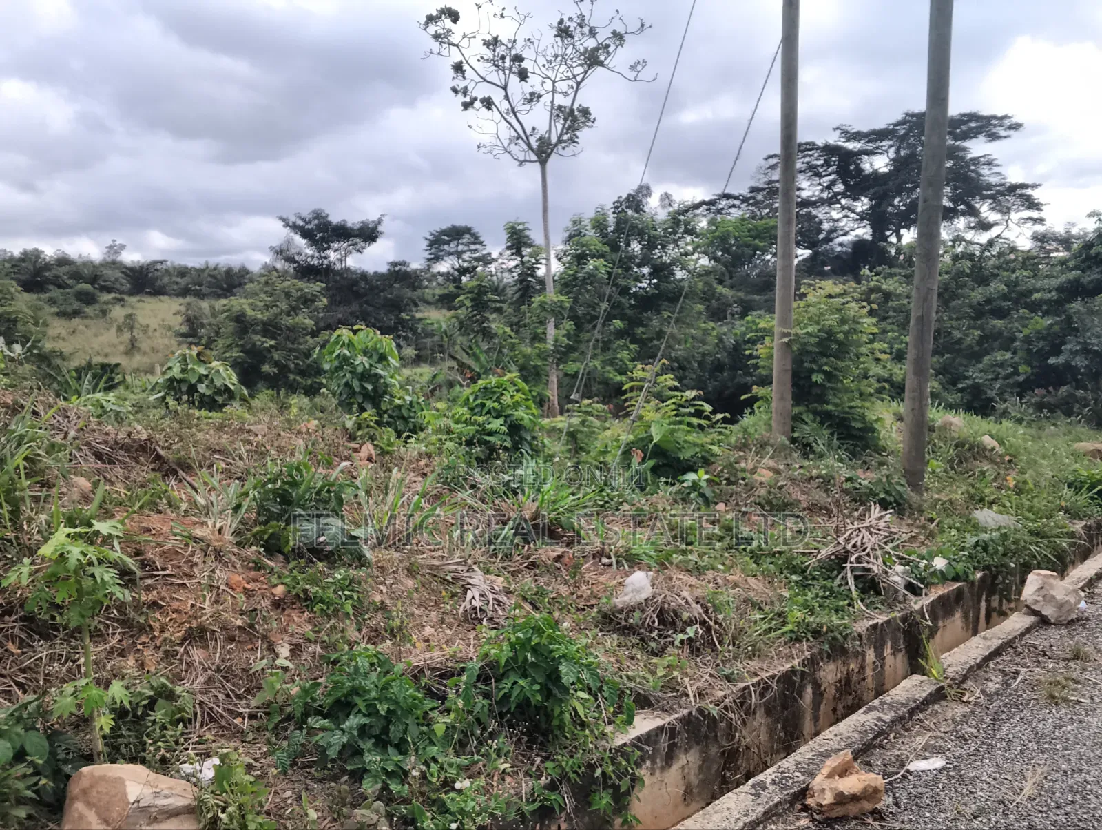 2 Plots of Land at Aburi Obosomase for Sale in Akuapim South