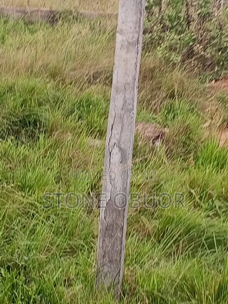 Land for Sale at Oyibi in Sasaabi