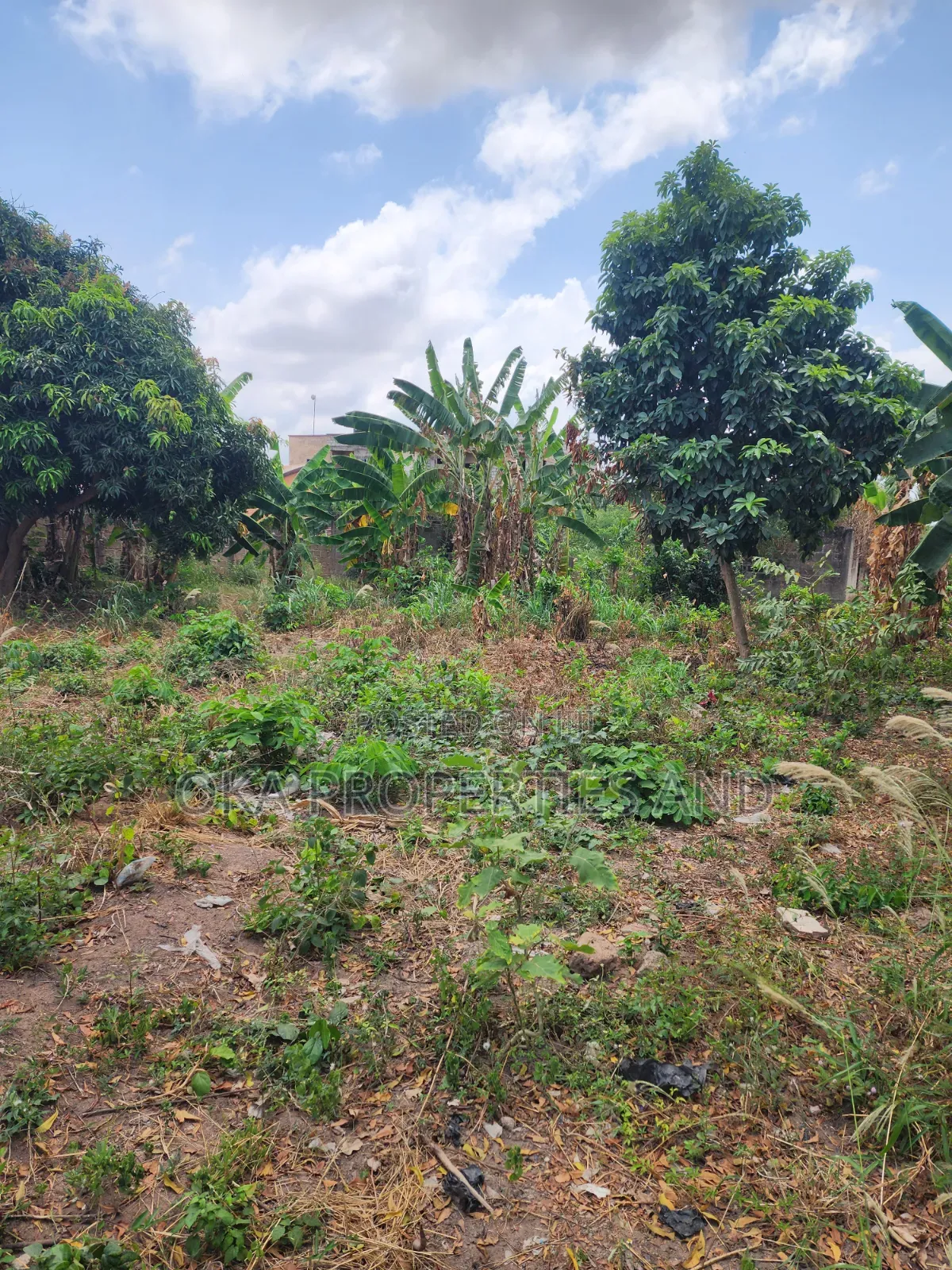 One Acre Land for Sale at Paraku Estate. in Ga East Municipal