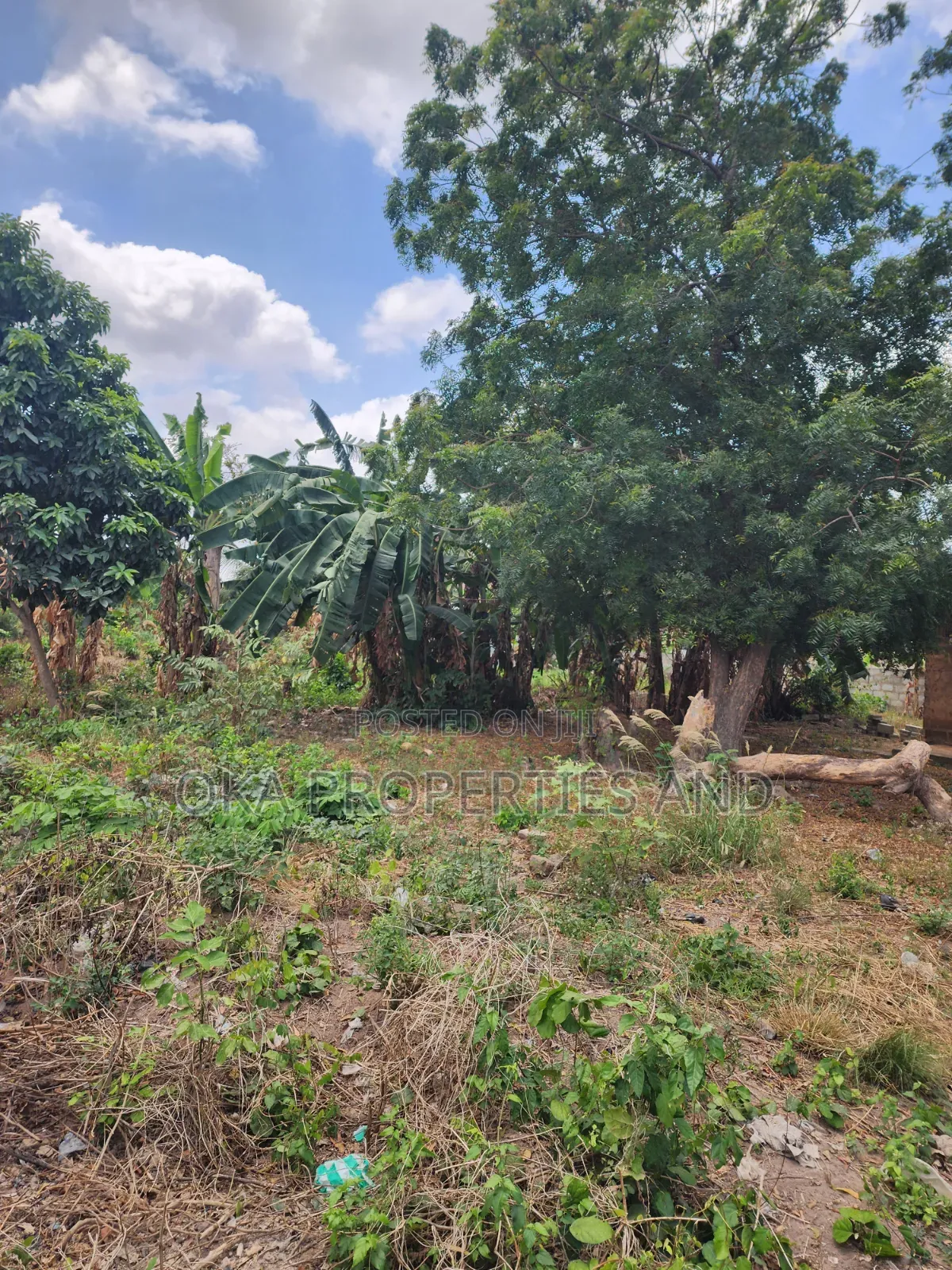 One Acre Land for Sale at Paraku Estate. in Ga East Municipal