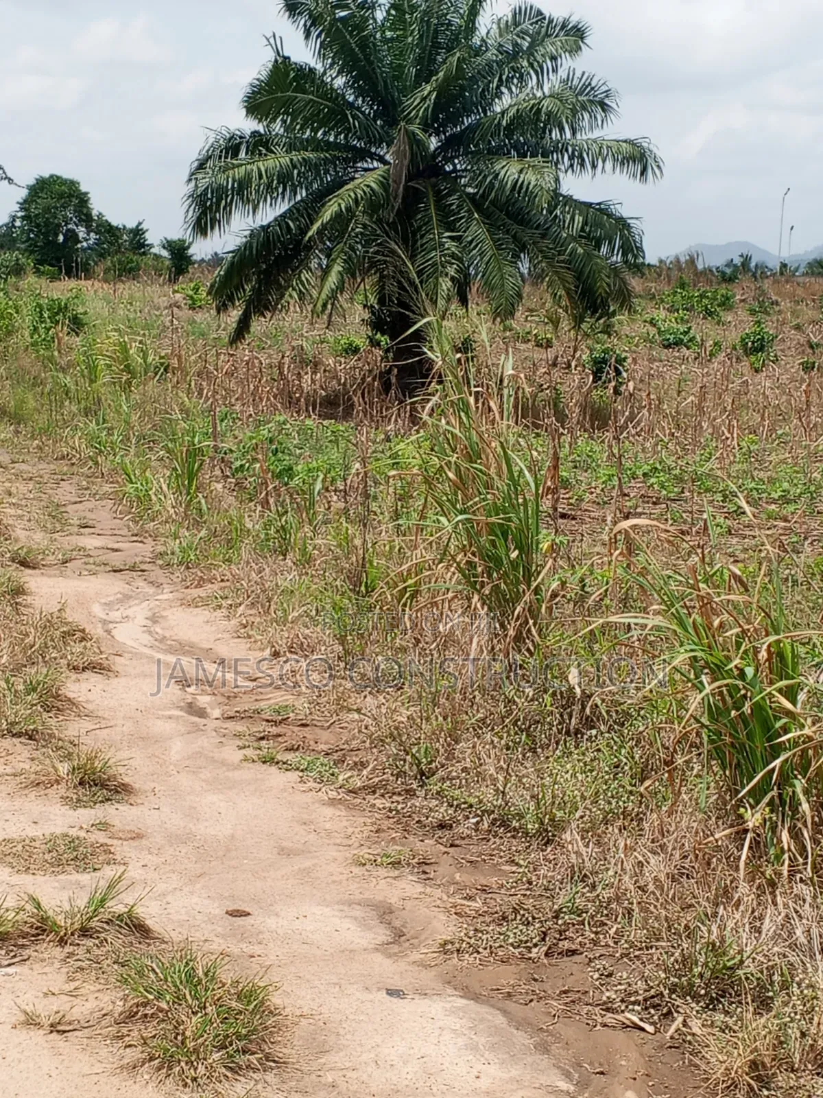 Register 60 Acres of Residential Land for Sale at Nsawam Oparekrom in Nsawam Adoagyiri Municipal