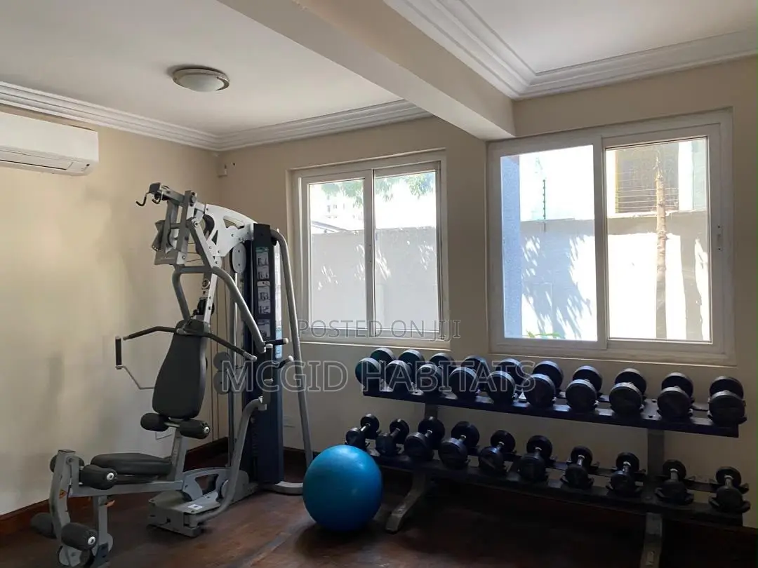 Furnished 3bdrm Townhouse / Terrace in Osu for rent in Osu