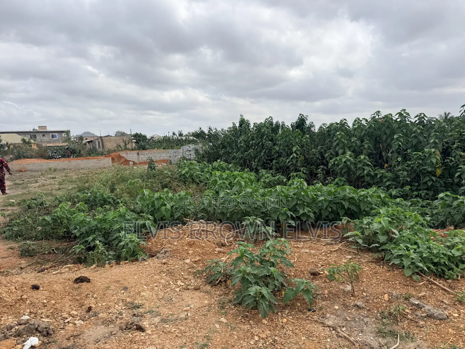 One Plot of Land for Sale at Katamansu Promise Land in Nmai-Dzorn