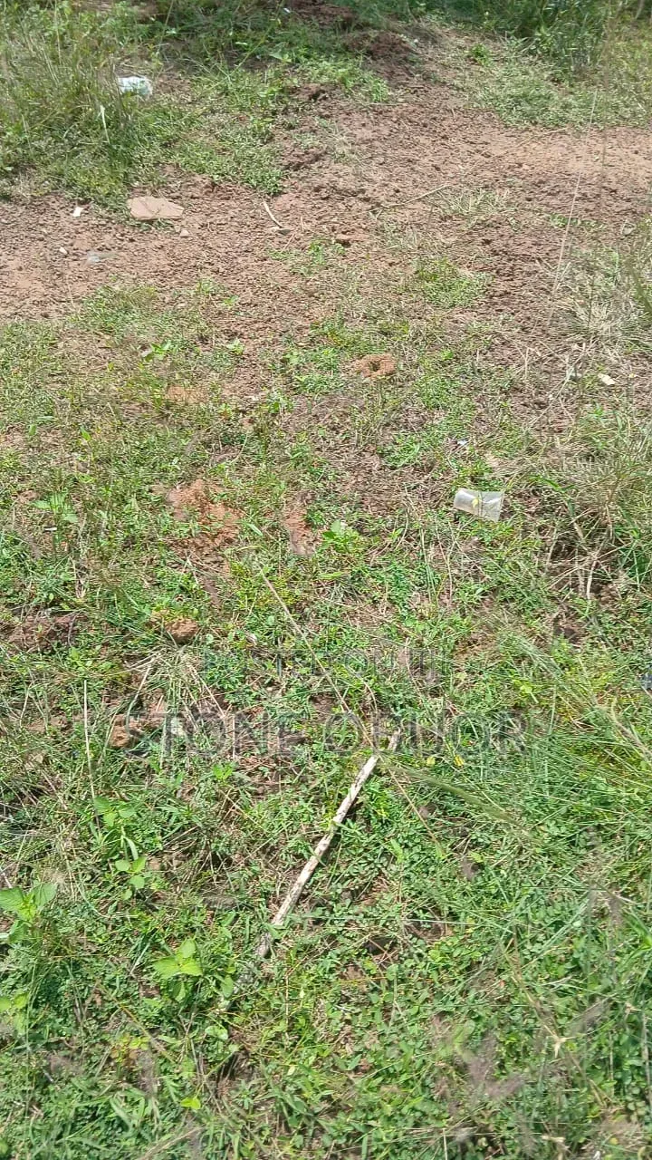 Half Plot for Sale at at Dawenya in Dawhenya