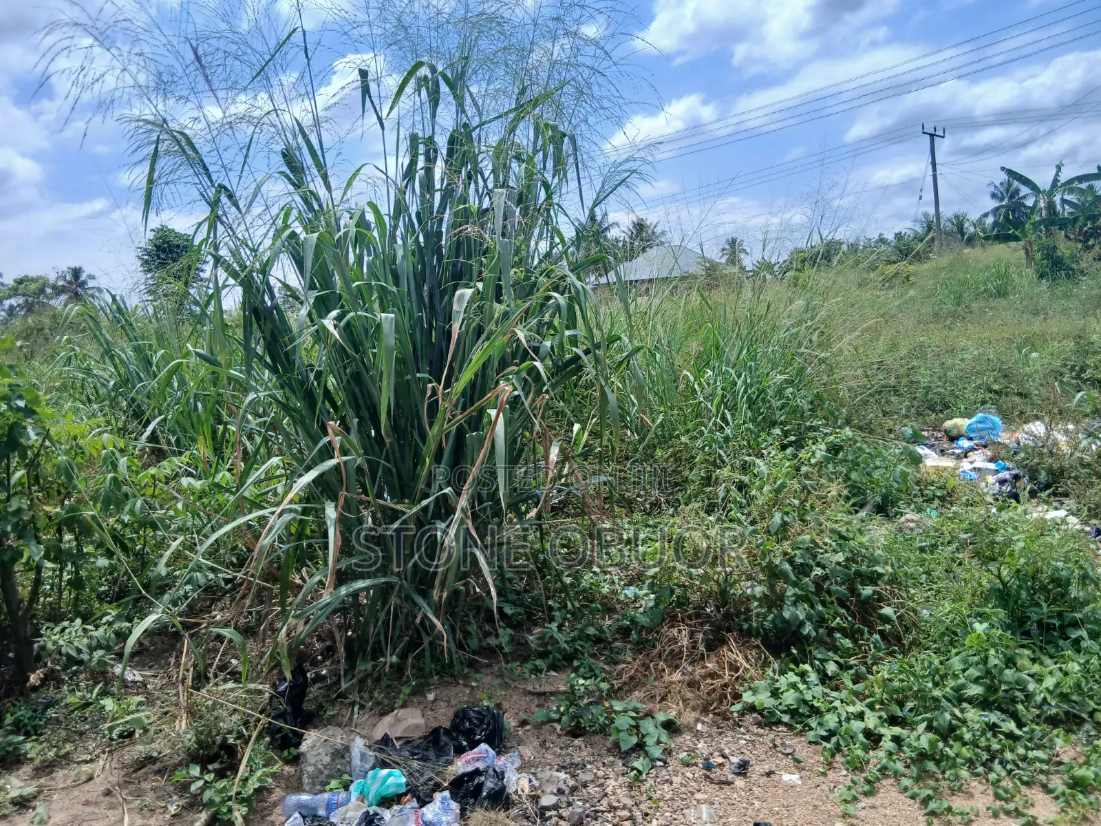 A Plot of Land for Sale at Valley View in Valley View Area