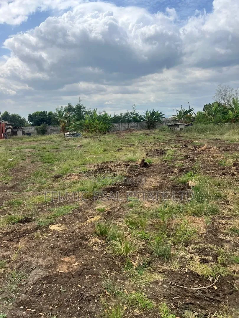 Roadside 2 Plots at Afienya for Sale in Accra Metropolitan