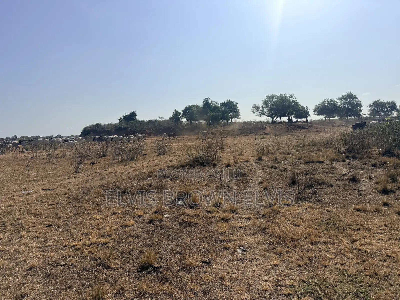 Buy a Genuine Plots of Land for Sale at Oyibi in Amrahia