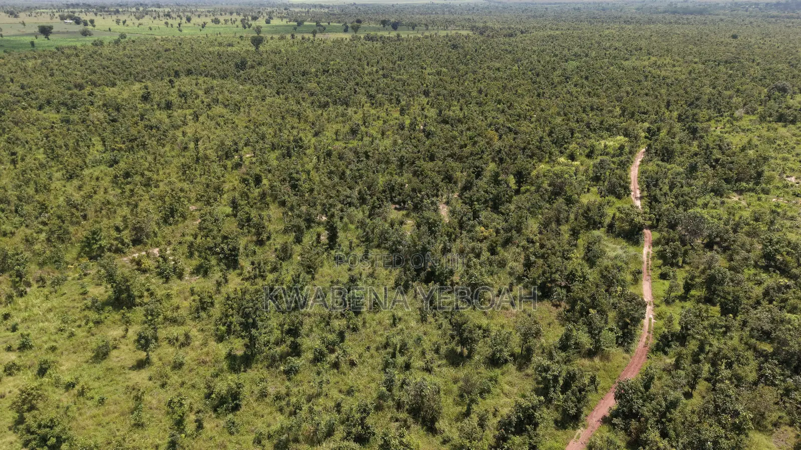 1,000 Acres of Farmland for Sale – Dromankuma, Bono East in Nkoranza North