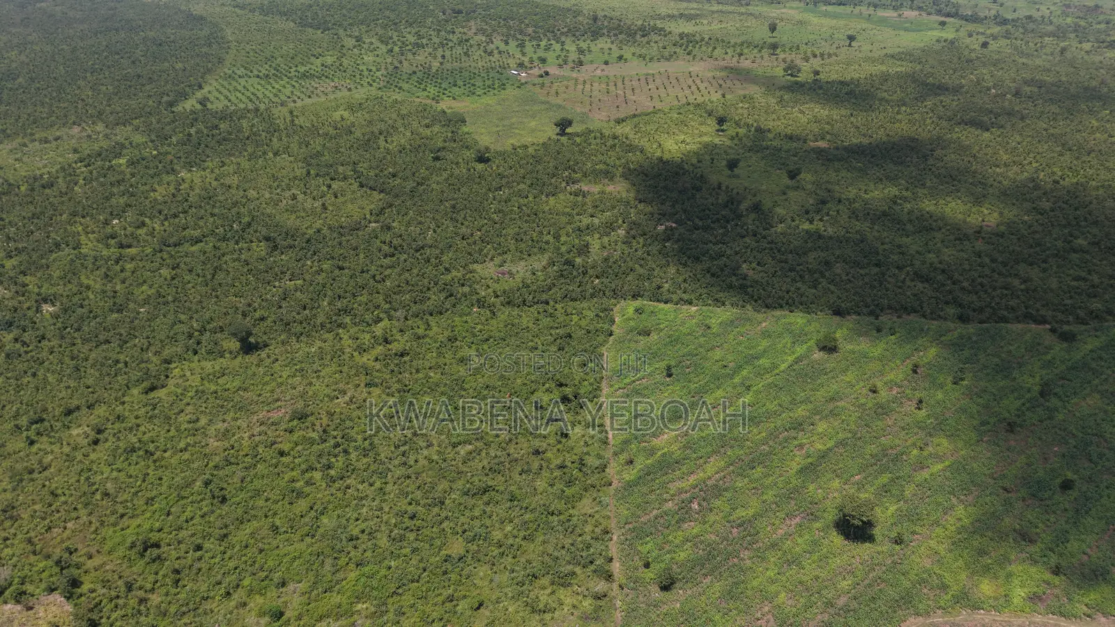 1,000 Acres of Farmland for Sale – Dromankuma, Bono East in Nkoranza North
