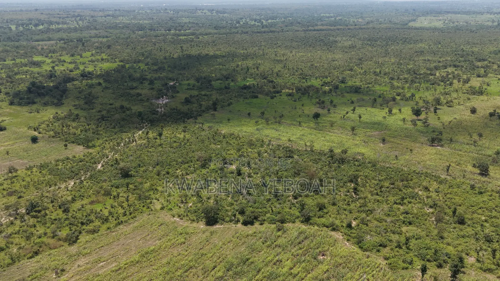 1,000 Acres of Farmland for Sale – Dromankuma, Bono East in Nkoranza North