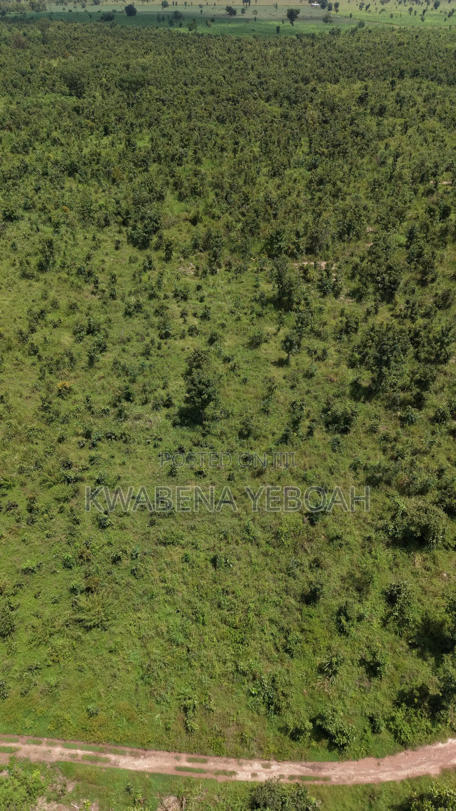 1,000 Acres of Farmland for Sale – Dromankuma, Bono East in Nkoranza North