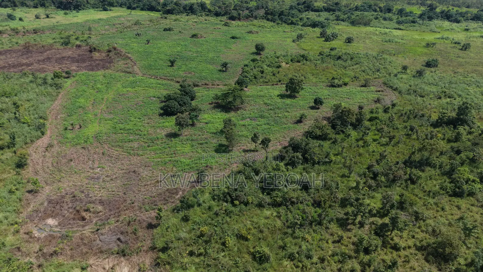 51 Acres of Farmland for Sale – Dromankuma, Bono East in Nkoranza North