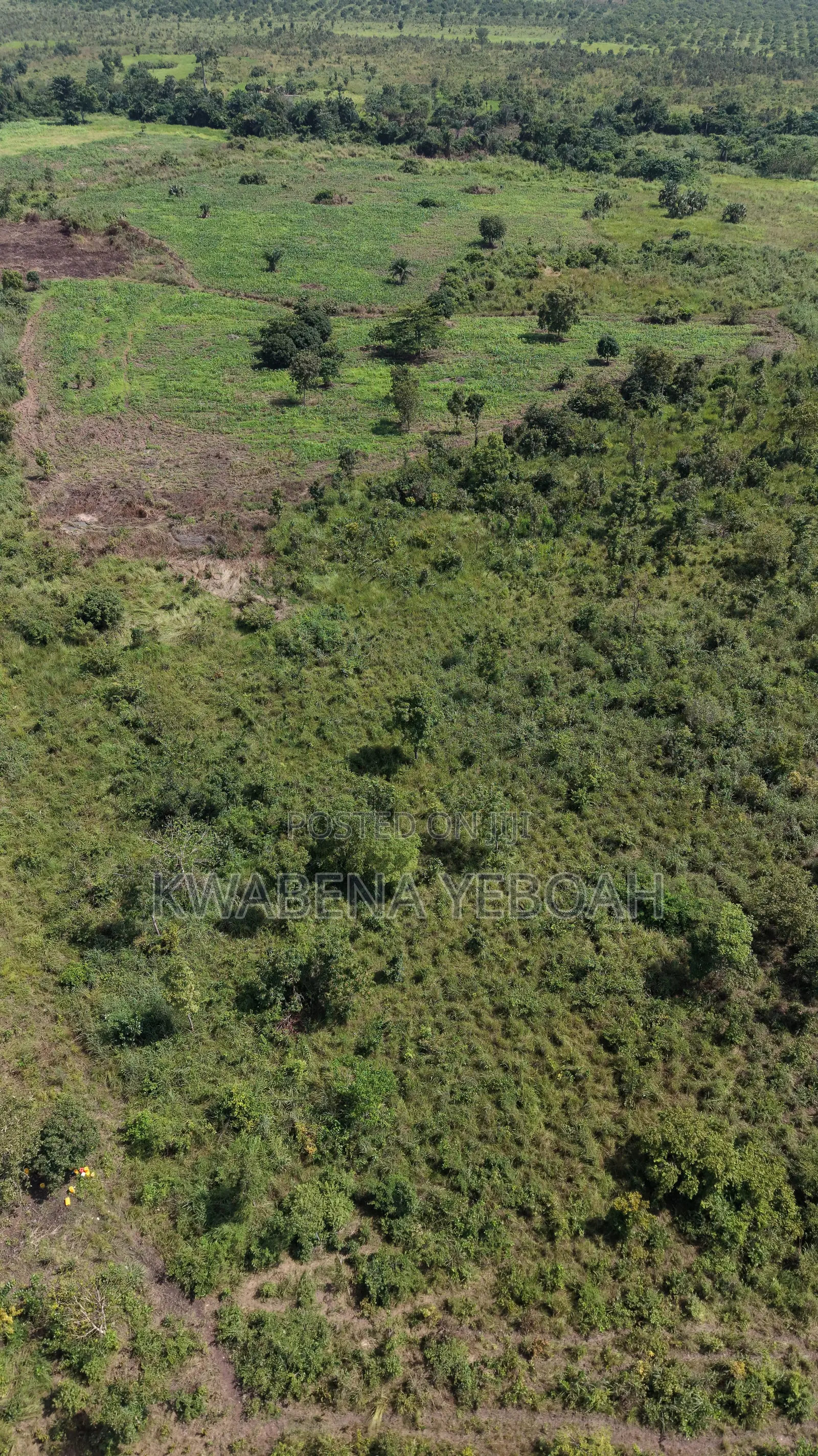 51 Acres of Farmland for Sale – Dromankuma, Bono East in Nkoranza North