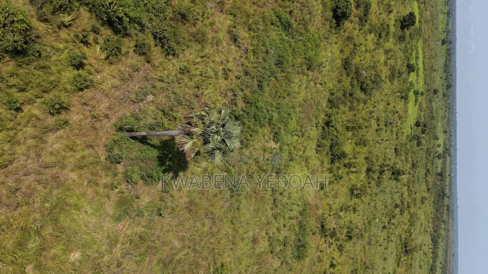 51 Acres of Farmland for Sale – Dromankuma, Bono East in Nkoranza North