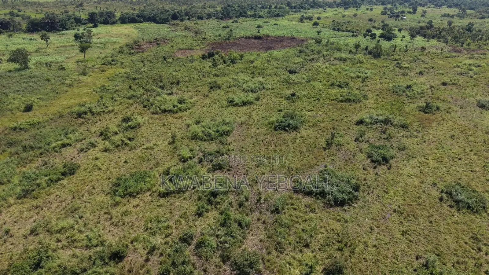 51 Acres of Farmland for Sale – Dromankuma, Bono East in Nkoranza North