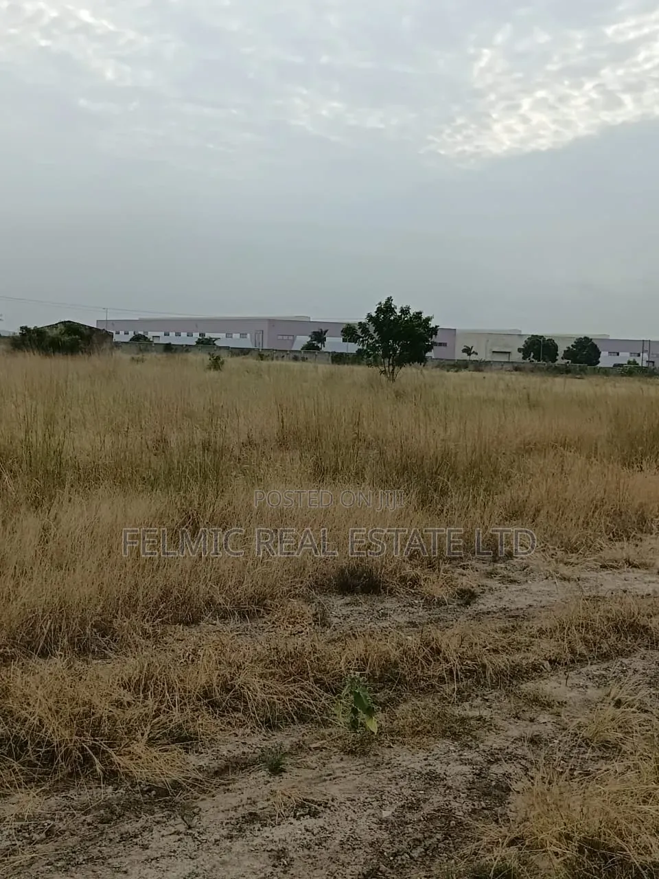 14 Acres of Land After Central University (Dawenya) for Sale in Lartebiokorshie