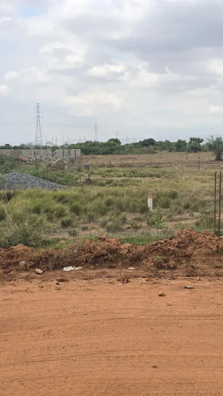 Roadside Full Plot in Afienya
