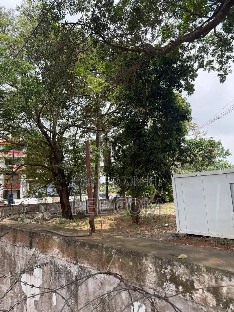 A 0.98 Acre Land for Sale.
Location: Airport Residential Area in Airport Residential Area