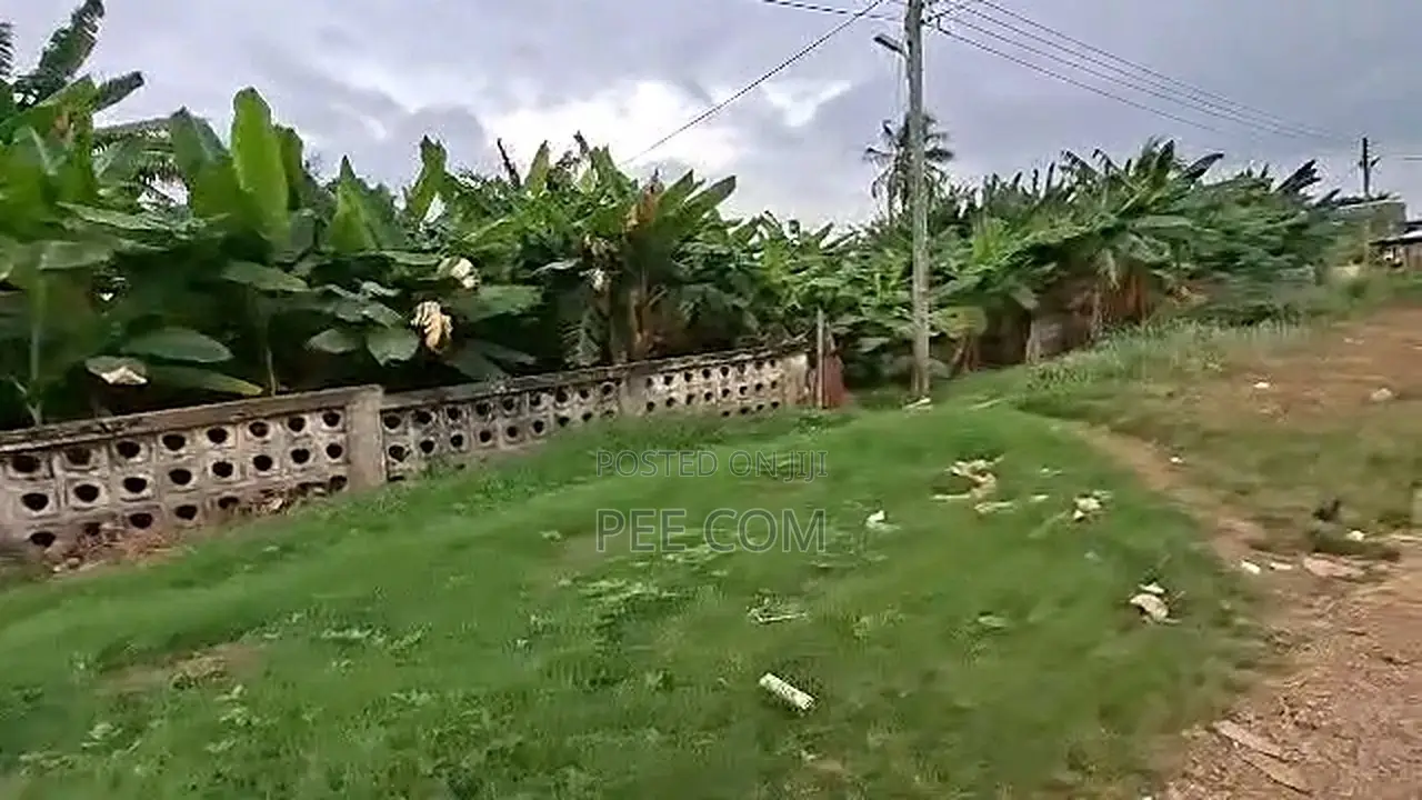 7 Plots of Land for Sale. 
Location- Dome Okoe/ Parakuo Estate. in Parakuo Estate
