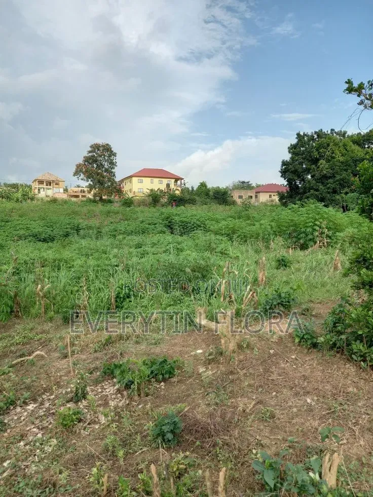 Full Plot of Land in Tema Metropolitan