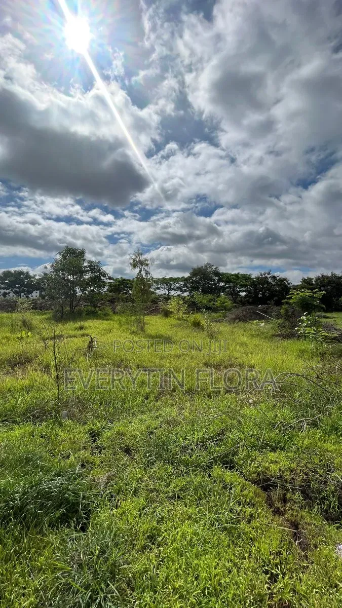 Full Plot of Land in Tema Metropolitan