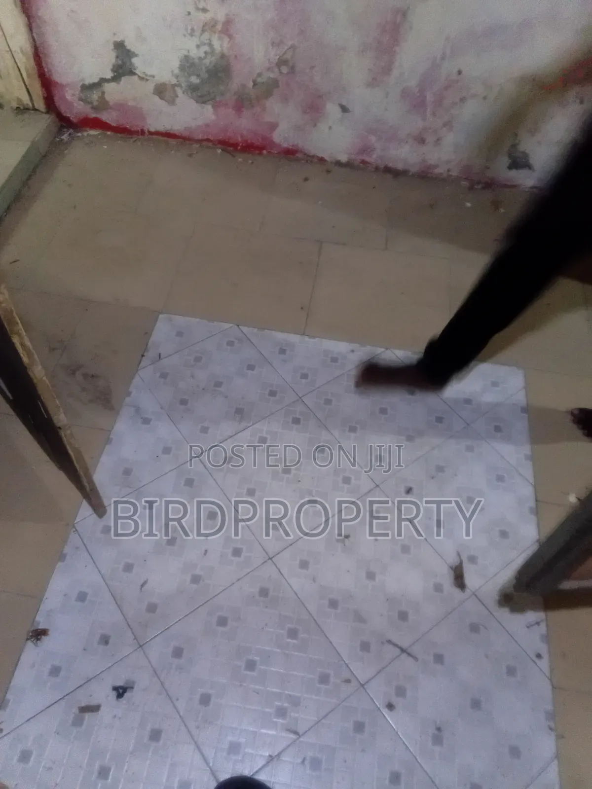 1bdrm House in Bird-Group, Baah Yard for rent in Baah Yard