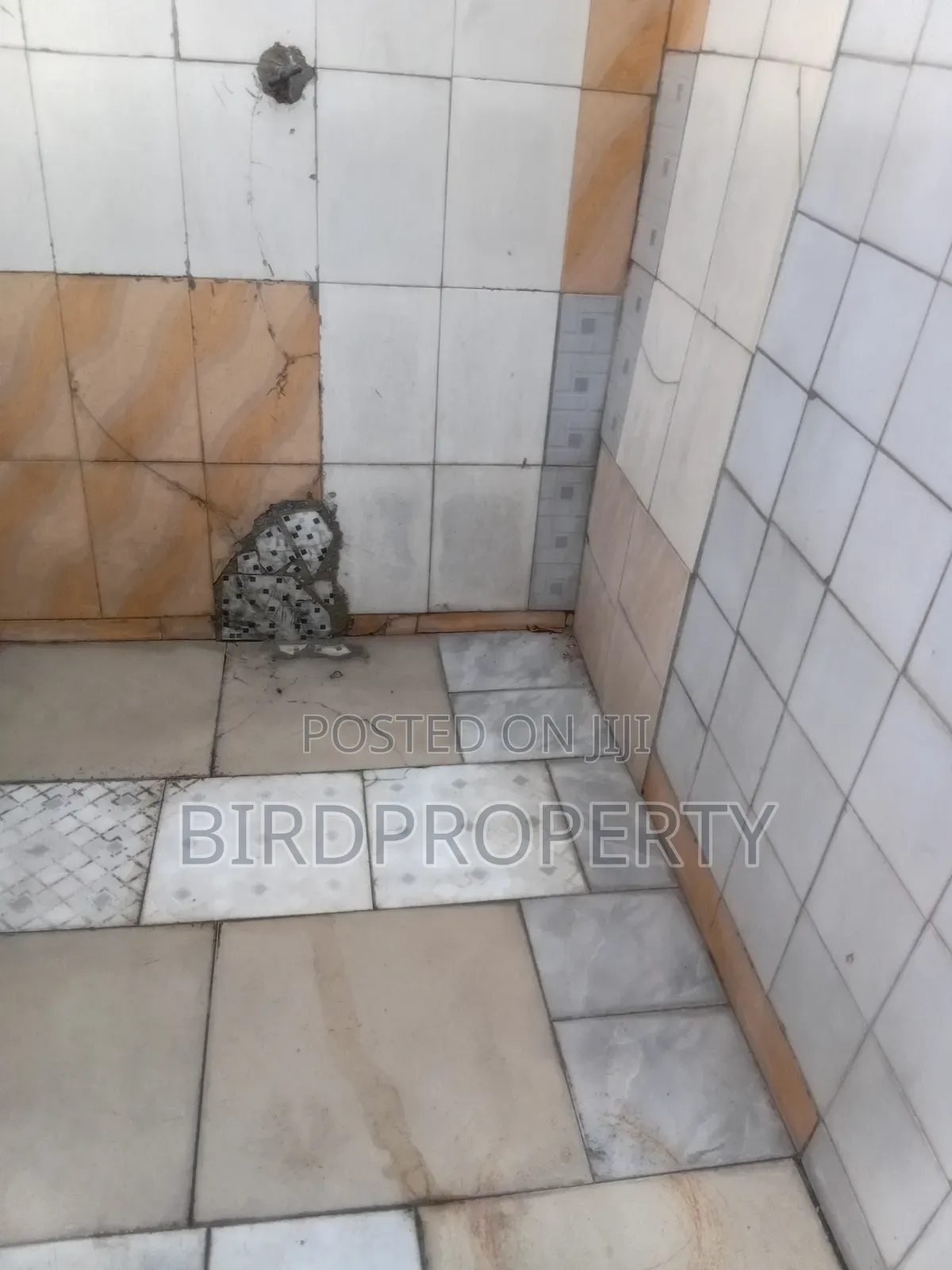 1bdrm House in Bird-Group, Baah Yard for rent in Baah Yard