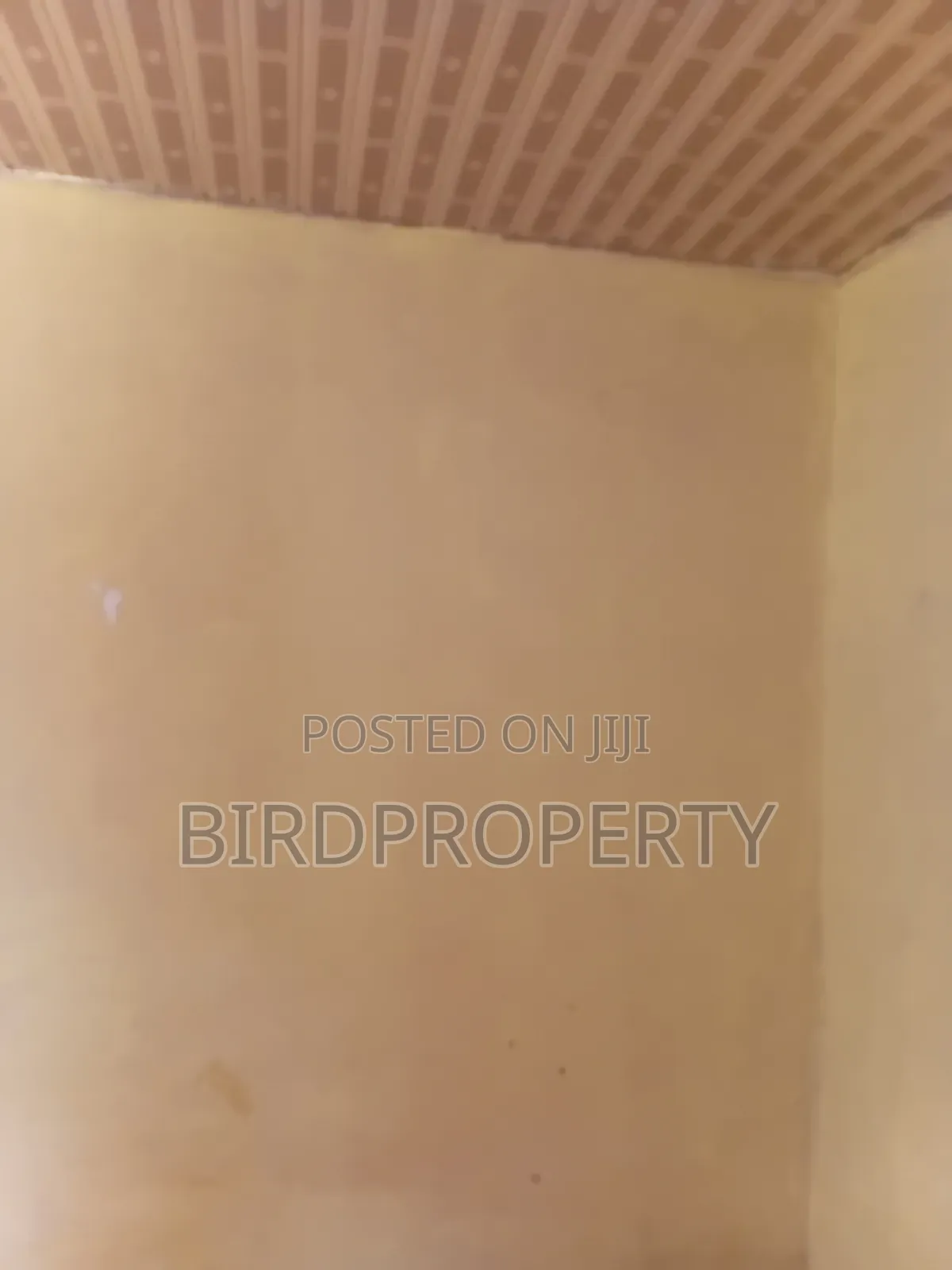 1bdrm House in Bird-Group, Baah Yard for rent in Baah Yard